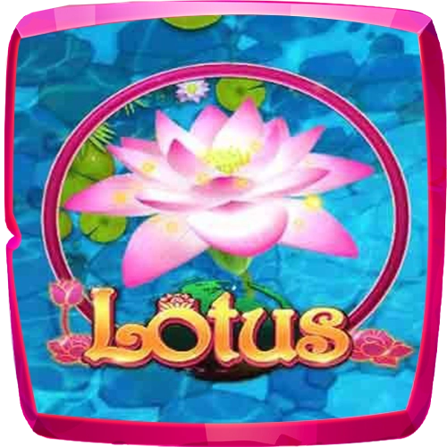 24. Lotus